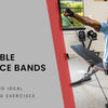 Proflex B200 Adjustable Weight Bench with Resistance Bands