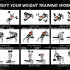 Proflex B200 Adjustable Weight Bench with Resistance Bands