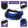 Equipmed Transfer Walk Belt