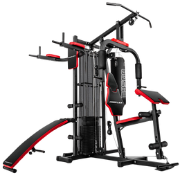 Proflex M9500 Multi-Station Home Gym