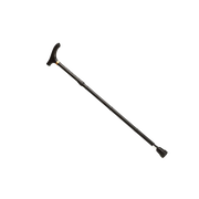 Alpha Folding Walking Stick
